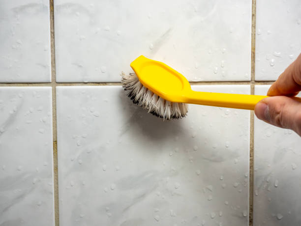 Best Toxic Mold Removal  in Pepperdine University, CA