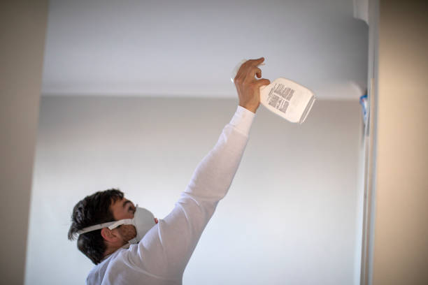 Best Commercial Mold Removal  in Pepperdine University, CA
