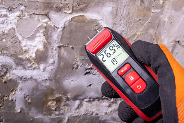 Best Best Mold Removal Companies  in Pepperdine University, CA